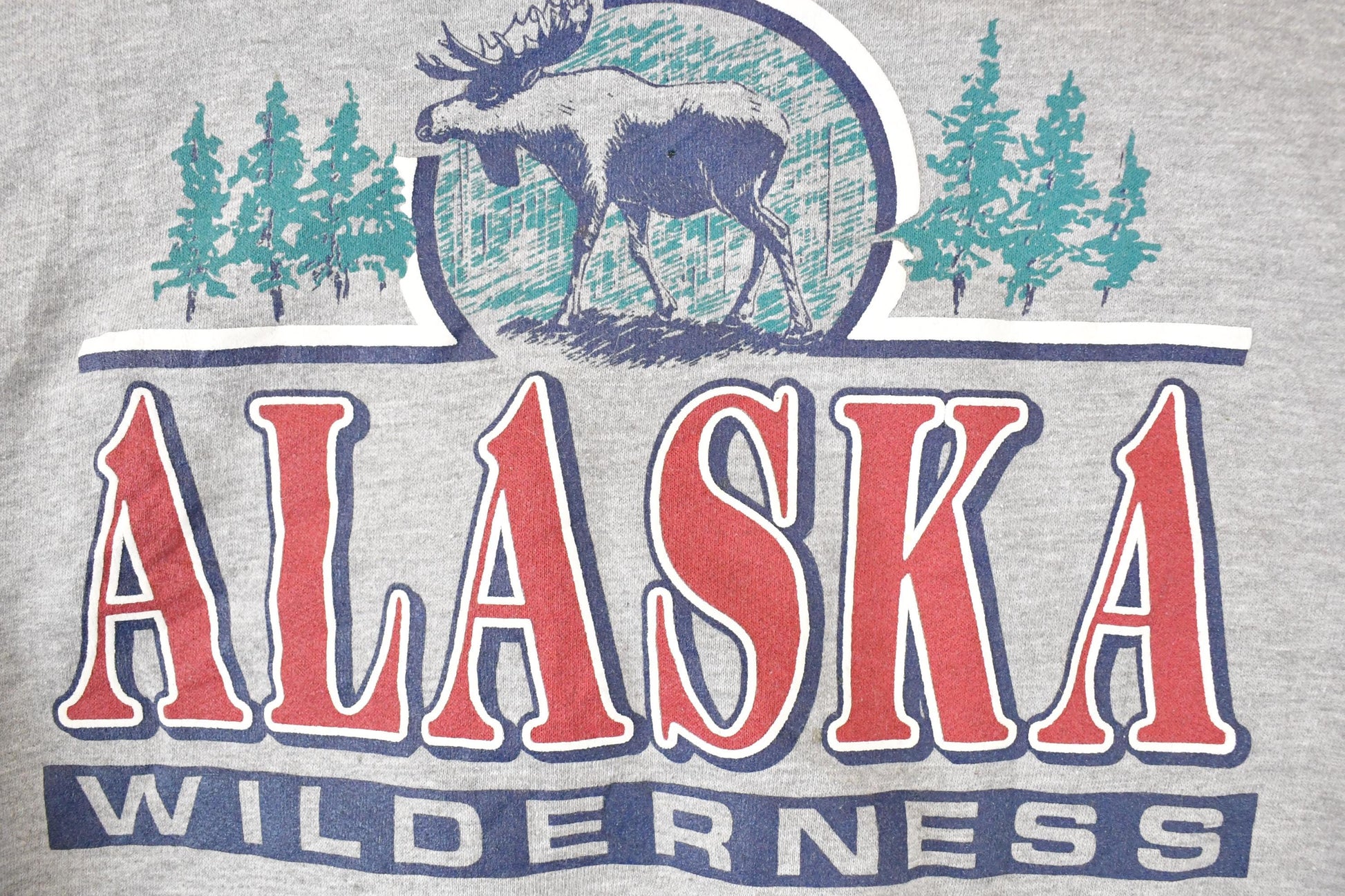 Vintage 1990s Alaska Wilderness Graphic Print Collared Heavyweight Sweatshirt Men's L from propervintagecanada