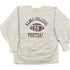 Vintage 1990s Alma College Football Champion Reverse Weave Crewneck Collegiate Men&