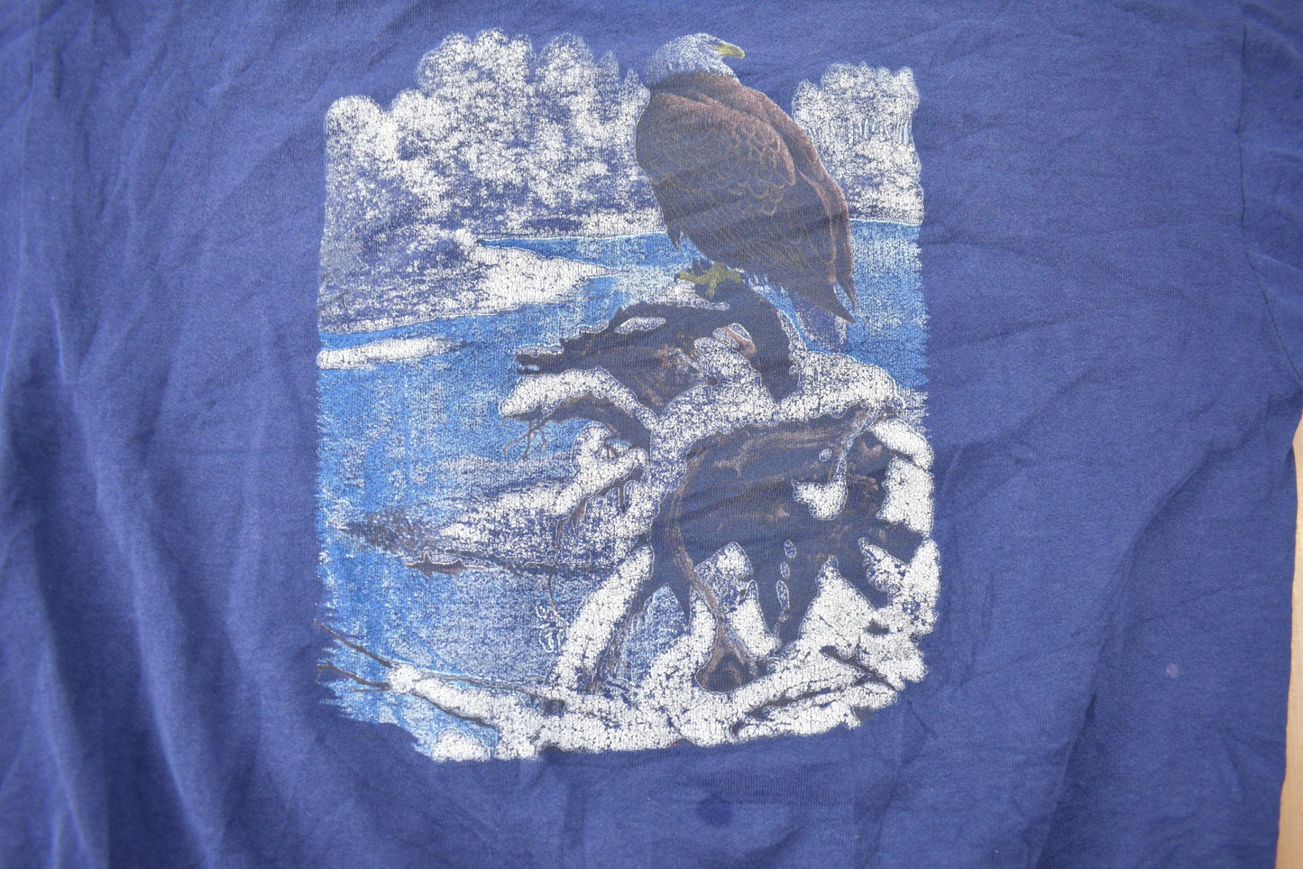 Vintage 1990s American Wilderness Bald Eagle Graphic Crewneck Sweatshirt Men's 2XL from propervintagecanada