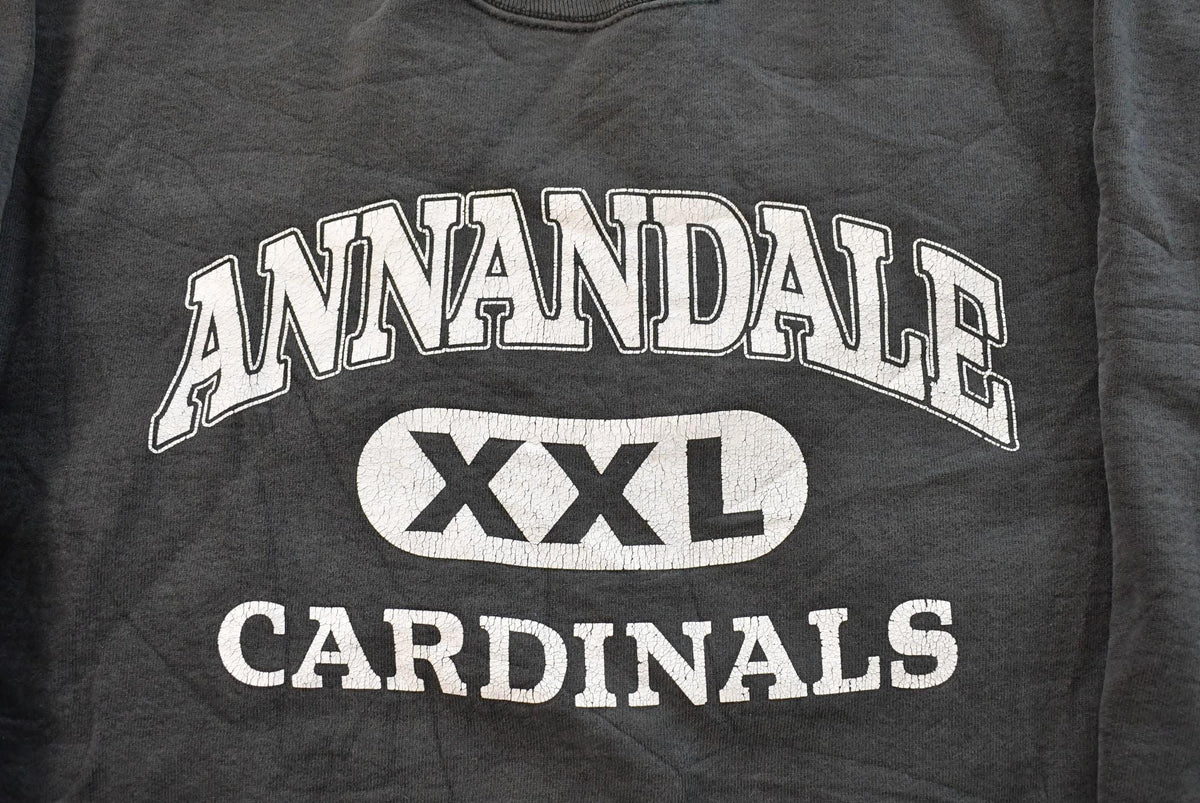 Vintage 1990s Annandale Cardinals Crewneck Sweatshirt Men's L from propervintagecanada