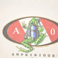 Vintage 1990s AO Amphibious Diving Souvenir Travel T-Shirt Men's L from propervintagecanada