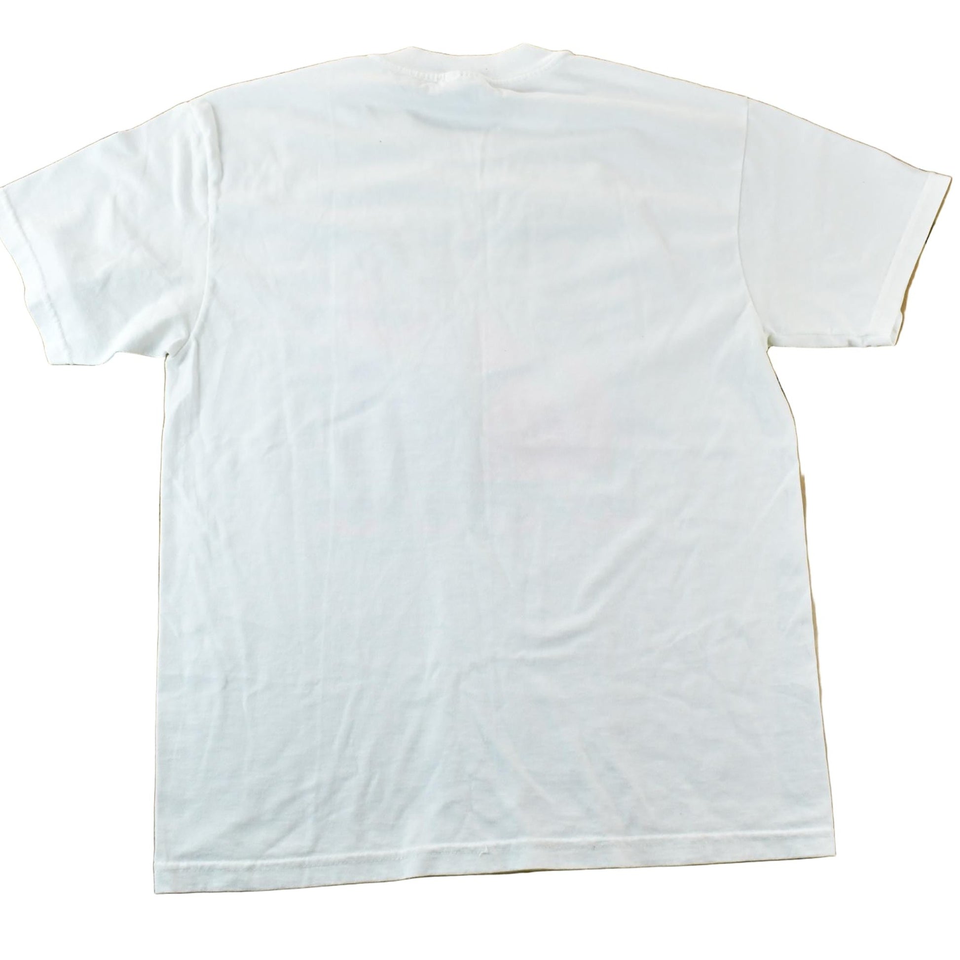 Vintage 1990s Arizona 2 Wolves Men's Large from propervintagecanada