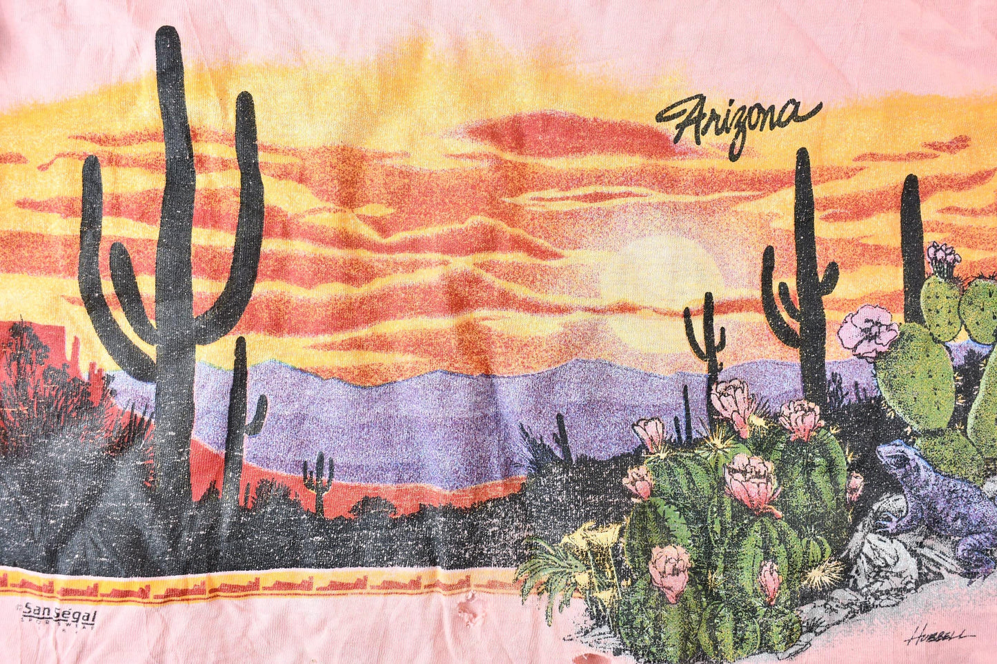 Vintage 1990s Arizona USA Western Desert Vista Souvenir Single Stitch Graphic T-Shirt Men's S from propervintagecanada