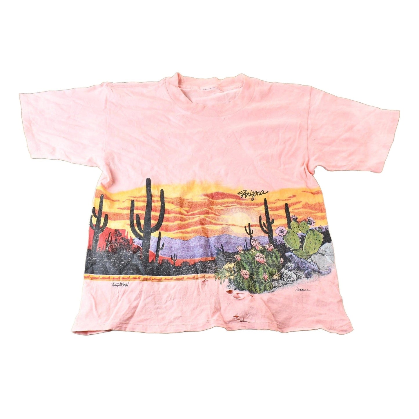 Vintage 1990s Arizona USA Western Desert Vista Souvenir Single Stitch Graphic T-Shirt Men's S from propervintagecanada