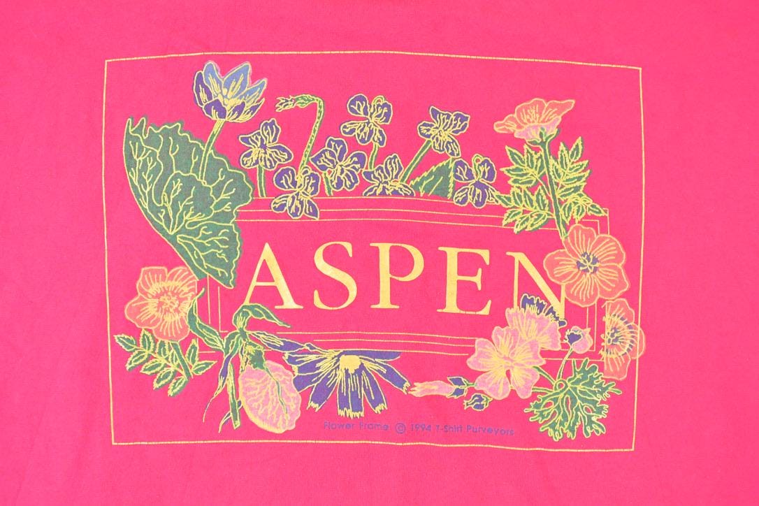 Vintage 1990s Aspen Souvenir Travel T-Shirt Men's XL / Destination Shirt / 90s Single Stitch Graphic Tee / Made in USA from propervintagecanada