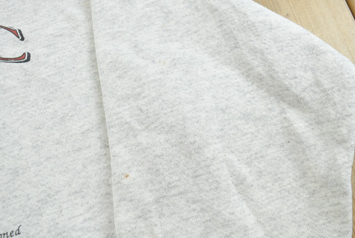 Vintage 1990s Authentic Flyer Sled Promo Crewneck Sweatshirt Men's L from propervintagecanada