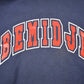 Vintage 1990s Bemidji State University Collegiate Hoodie Men's Medium from propervintagecanada