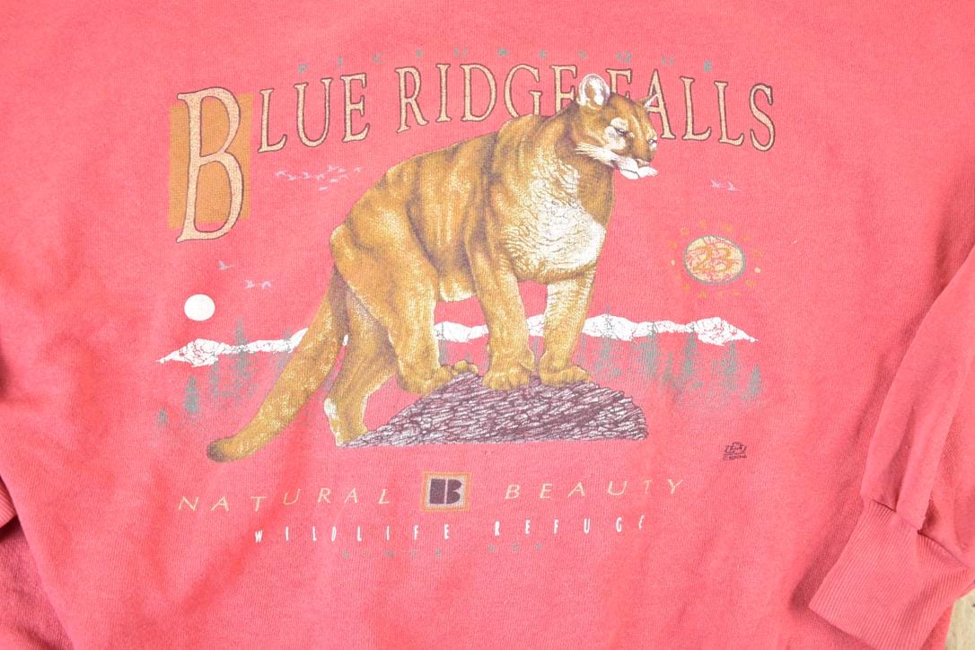 Vintage 1990s Blue Ridge Falls Wildcats Crewneck Sweatshirt Mens XL from propervintagecanada