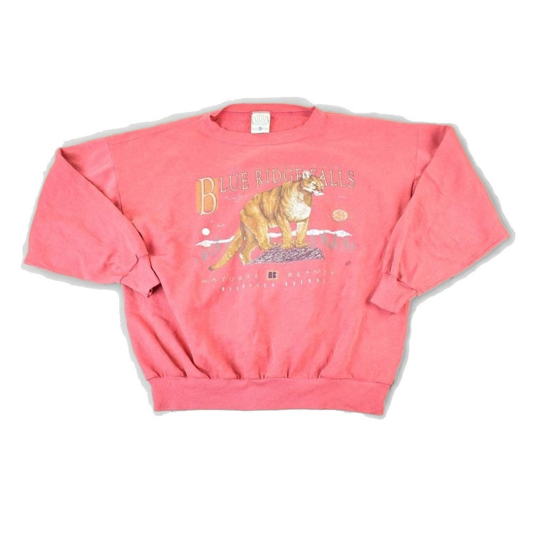 Vintage 1990s Blue Ridge Falls Wildcats Crewneck Sweatshirt Mens XL from propervintagecanada