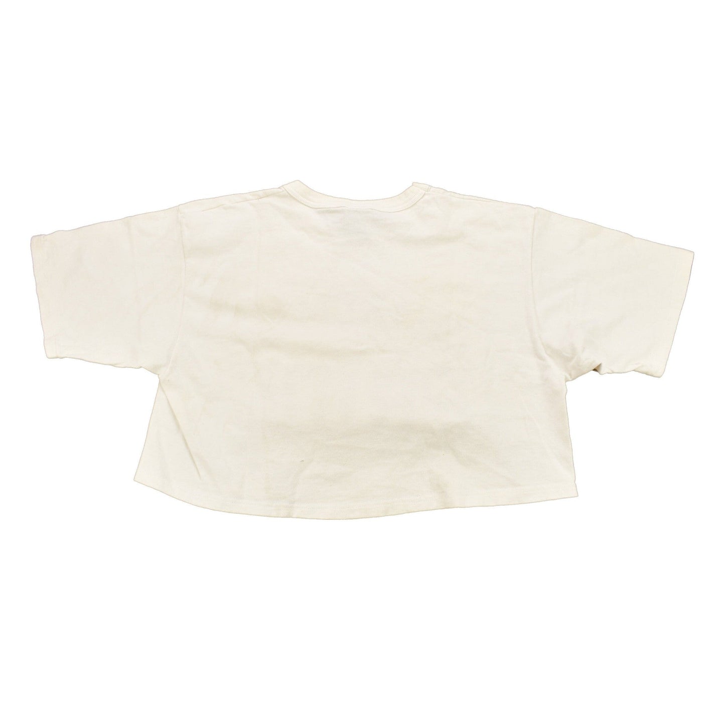 Vintage 1990s Boardman Pride Collegiate Crop Top Champion T-Shirt Women's S Cropped from propervintagecanada