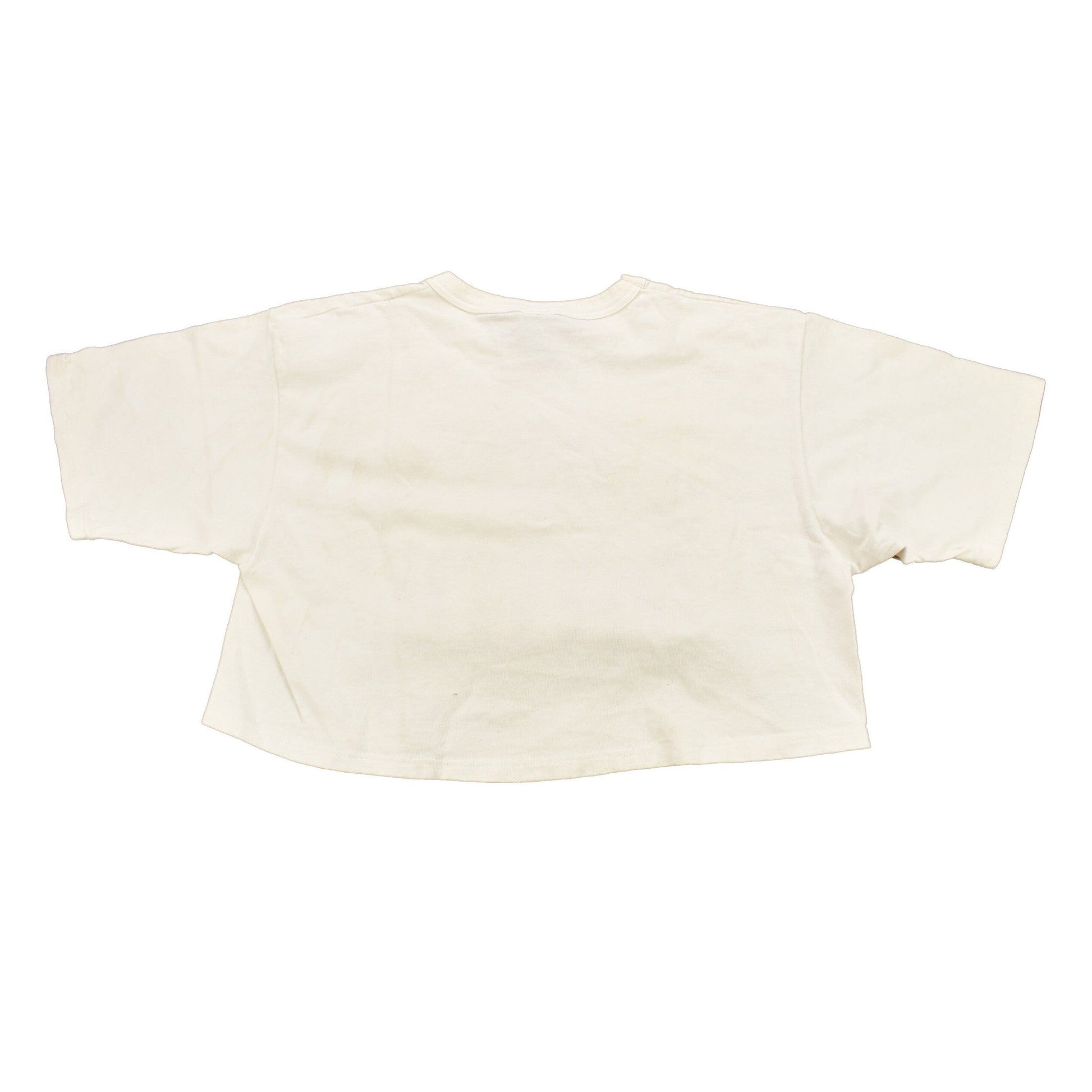 Vintage 1990s Boardman Pride Collegiate Crop Top Champion T-Shirt Women's S Cropped from propervintagecanada