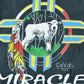 Vintage 1990s buffalo Miracle Western Souvenir T-Shirt Men's Large from propervintagecanada