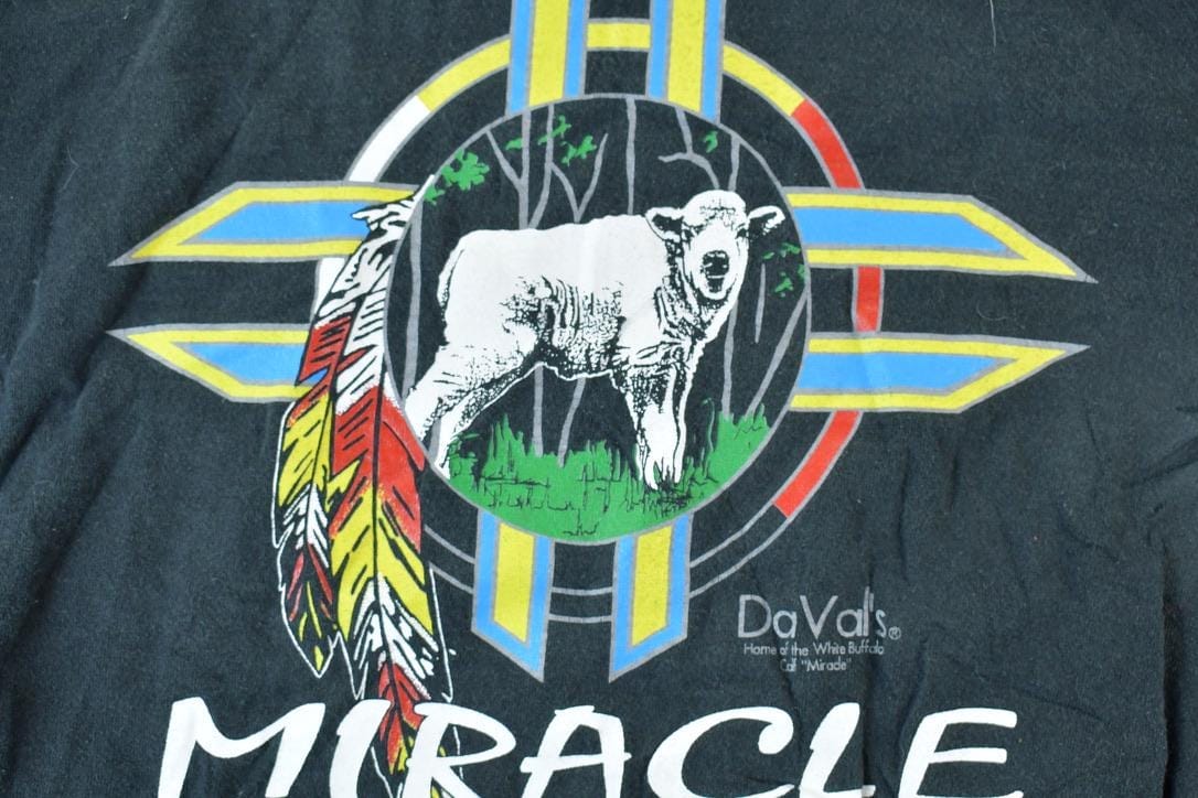 Vintage 1990s buffalo Miracle Western Souvenir T-Shirt Men's Large from propervintagecanada