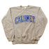Vintage 1990s Calumet College Crewneck Men&