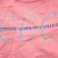 Vintage 1990s Cambridge Community College Collegiate Crewneck Men's XL from propervintagecanada