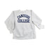 Vintage 1990s Canisius College Champion Reverse Weave Crewneck Men&