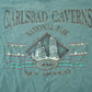 Vintage 1990s Carlsbad Caverns New Mexico Men's Large from propervintagecanada