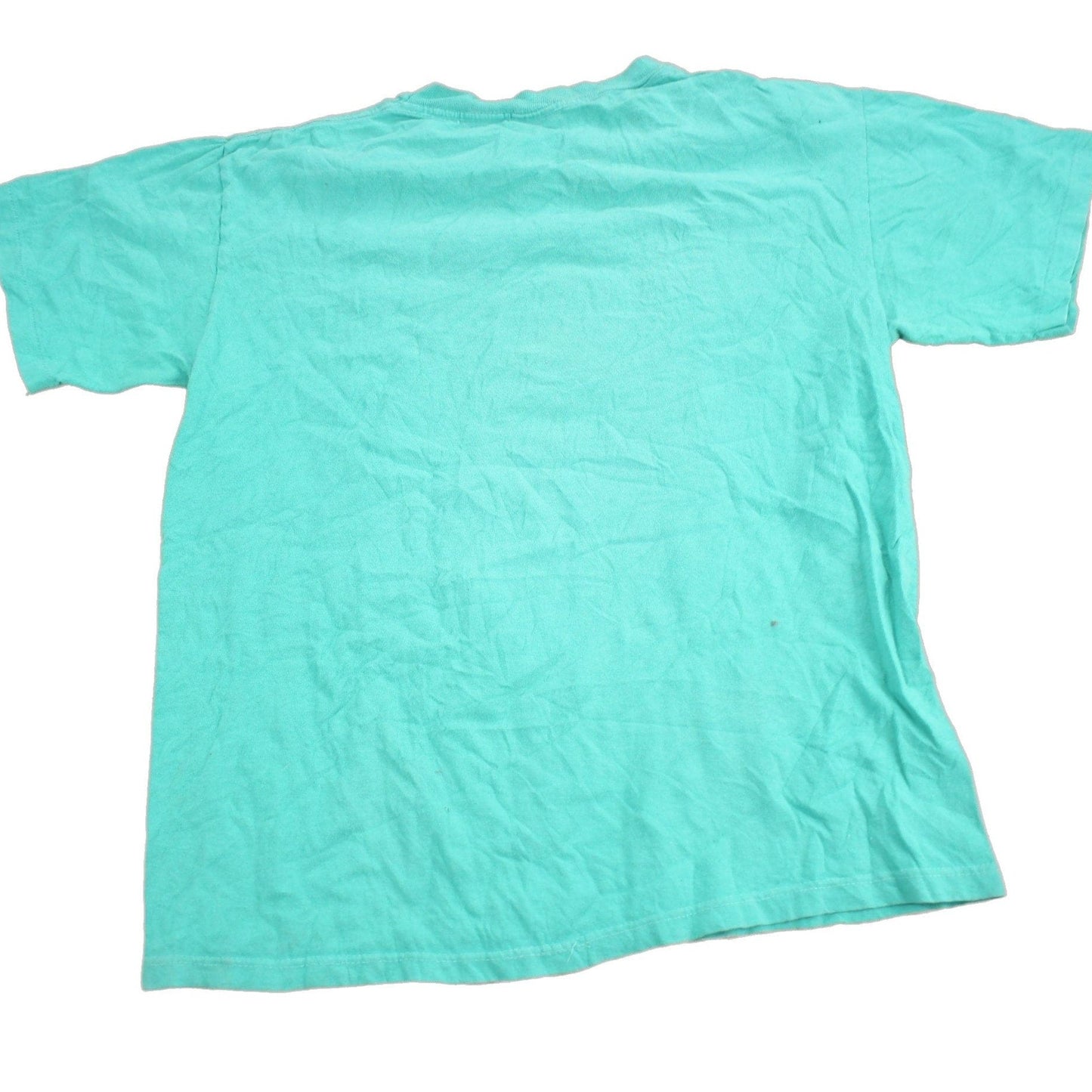 Vintage 1990s Carolina Sunflower Graphic Souvenir T Shirt Men's Medium from propervintagecanada