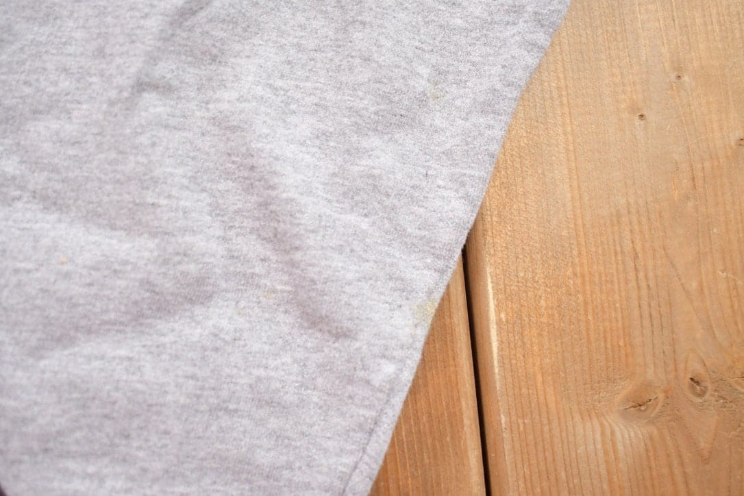 Vintage 1990s Champion Blank Grey Crewneck Sweatshirt Men's Large from propervintagecanada