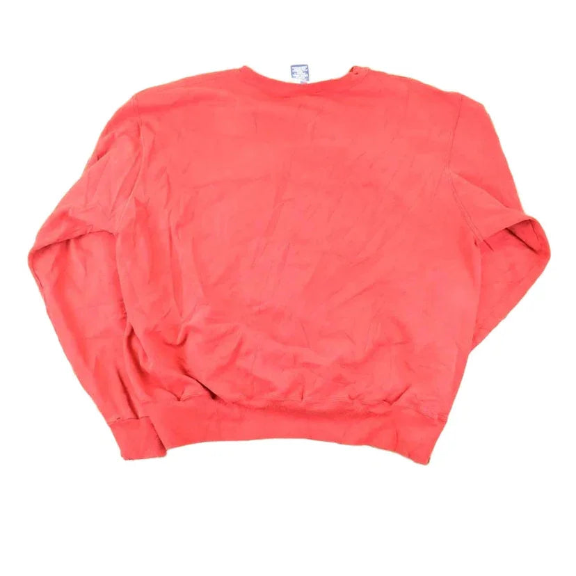 Vintage 1990s Champion Graphic Print Crewneck Sweatshirt Men's L from propervintagecanada