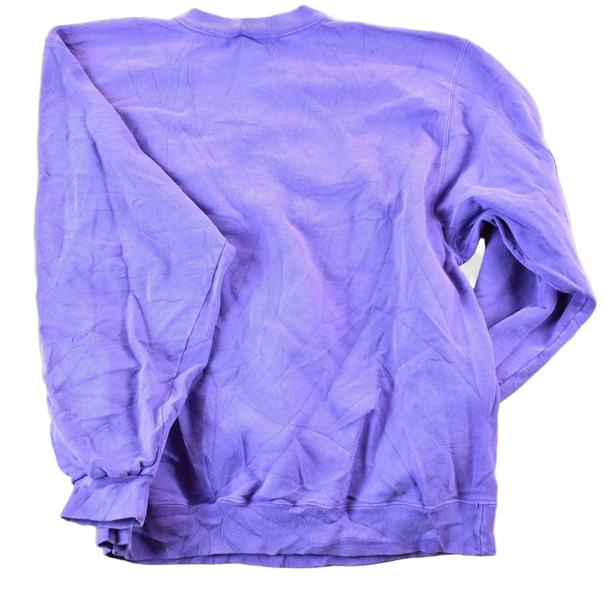 Vintage 1990s Champion Minnesota Vikings NFL Crewneck Sweatshirt Mens Medium from propervintagecanada