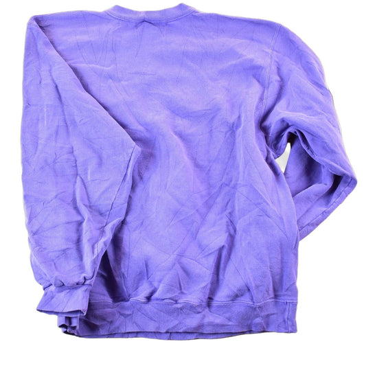 Vintage 1990s Champion Minnesota Vikings NFL Crewneck Sweatshirt Mens Medium from propervintagecanada