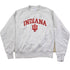 Vintage 1990s Champion Reverse Weave Heavy Weight University of Iowa Crewneck Sweatshirt Men&