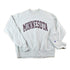 Vintage 1990s Champion Reverse Weave Minnesota University Sweatshirt Men&