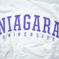 Vintage 1990s Champion Reverse Weave Niagara University Collegiate Crewneck Men's Large from propervintagecanada