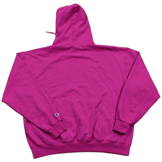 Vintage 1990s Champion Rock Valley College Hoodie Men's XL from propervintagecanada