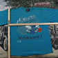 Vintage 1990s Charlotte Hornets NBA Graphic T Shirt Men's XL from propervintagecanada