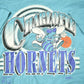 Vintage 1990s Charlotte Hornets NBA T-shirt Men's Medium from propervintagecanada