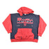 Vintage 1990s Chicago Bulls NBA Hoodie Made In USA Nutmeg Men&