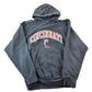 Vintage 1990s Cincinnati University Collegiate Steve And Barry's Reverse Grain Hoodie Men's Large from propervintagecanada