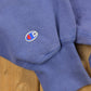 Vintage 1990s Clarion University Champion Reverse Weave Collegiate Crewneck Men's S from propervintagecanada