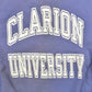 Vintage 1990s Clarion University Champion Reverse Weave Collegiate Crewneck Men's S from propervintagecanada