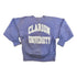 Vintage 1990s Clarion University Champion Reverse Weave Collegiate Crewneck Men&