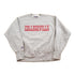 Vintage 1990s Collegeville Jansport Crewneck Made In USA Men&
