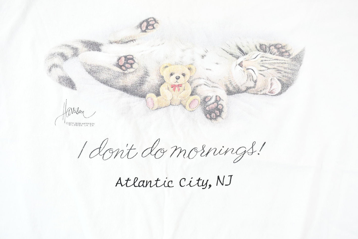 Vintage 1990s Cute Kitten I Don't Do Mornings Single-Stitch Souvenir Travel T-Shirt Men's XL from propervintagecanada