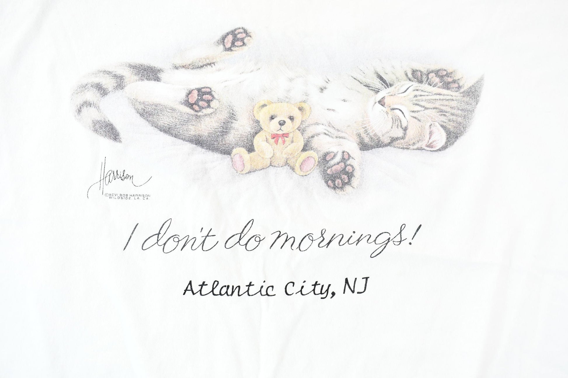 Vintage 1990s Cute Kitten I Don't Do Mornings Single-Stitch Souvenir Travel T-Shirt Men's XL from propervintagecanada