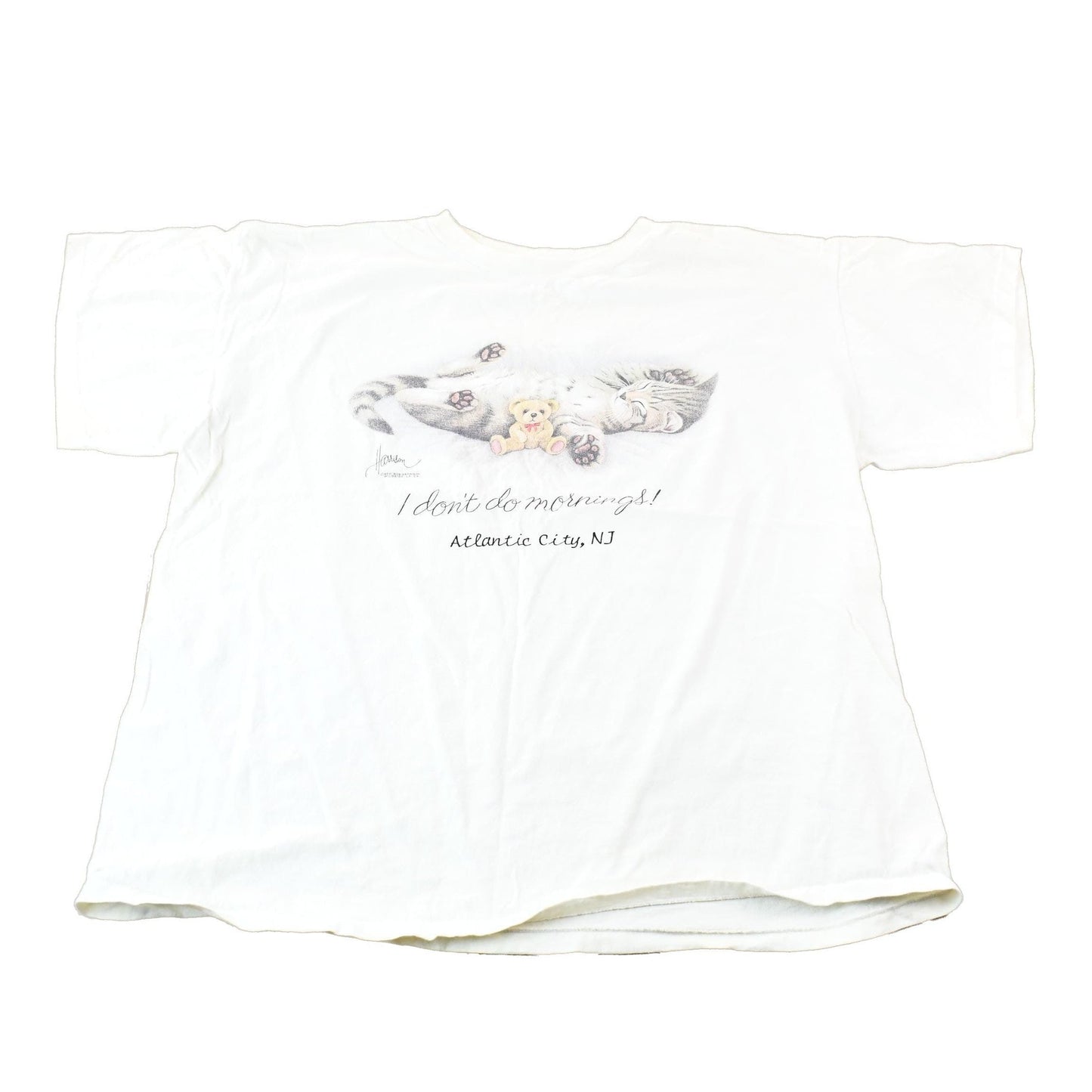 Vintage 1990s Cute Kitten I Don't Do Mornings Single-Stitch Souvenir Travel T-Shirt Men's XL from propervintagecanada