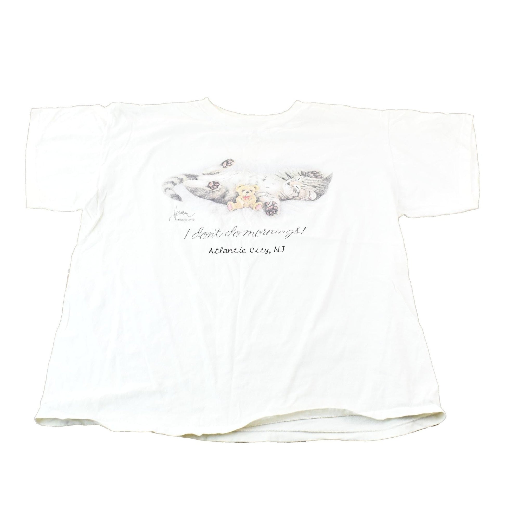 Vintage 1990s Cute Kitten I Don't Do Mornings Single-Stitch Souvenir Travel T-Shirt Men's XL from propervintagecanada