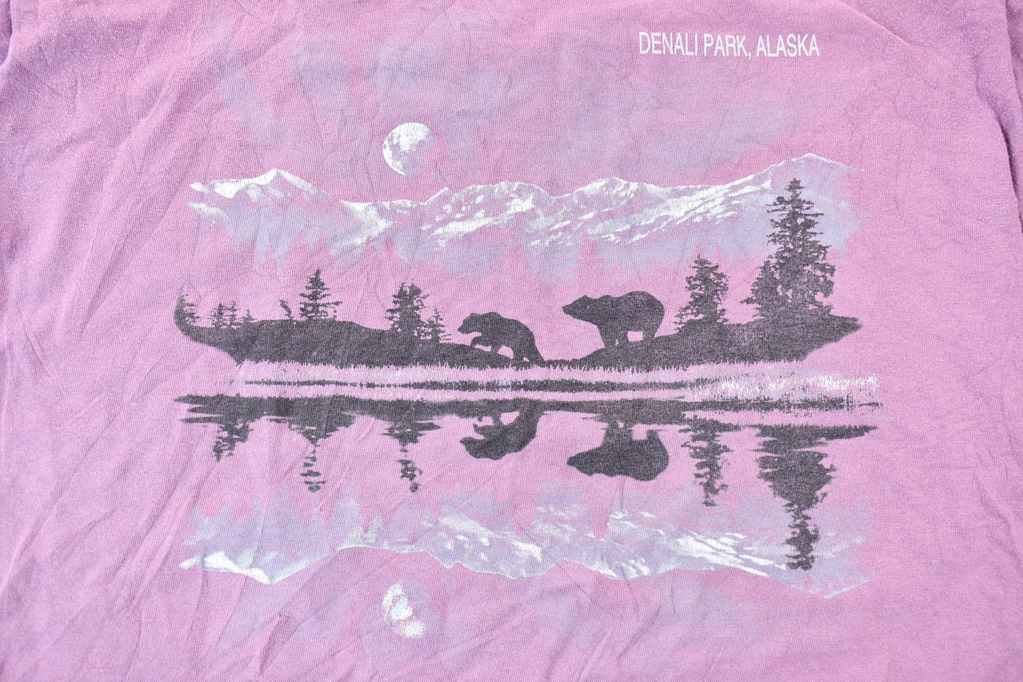 Vintage 1990s Denali National Park Alaska Single Stitch Graphic T-Shirt Men's Large from propervintagecanada