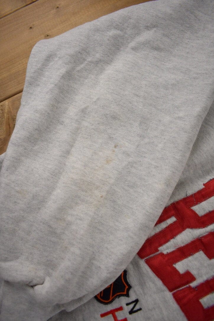 Vintage 1990s Detroit Red Wings NHL Embroidered Crewneck Sweatshirt Men's XL from propervintagecanada