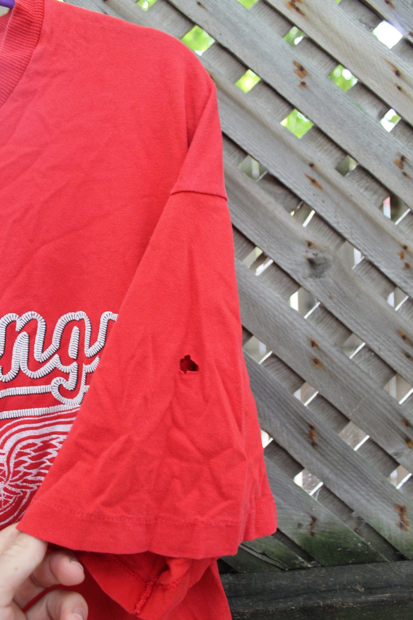 Vintage 1990s Detroit Red Wings NHL T Shirt Men's XL from propervintagecanada