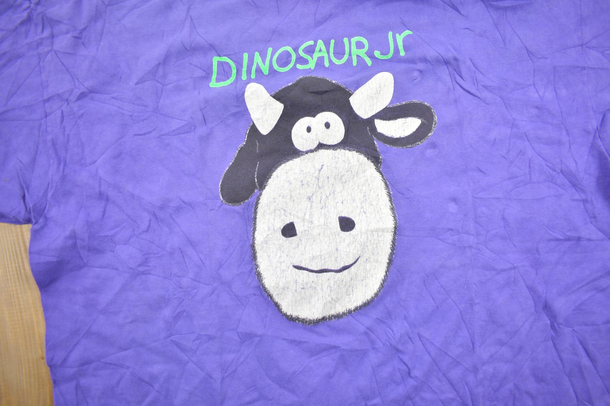 Vintage 1990s Dinosaur JR Single Stitch Band Tee Men's XL from propervintagecanada