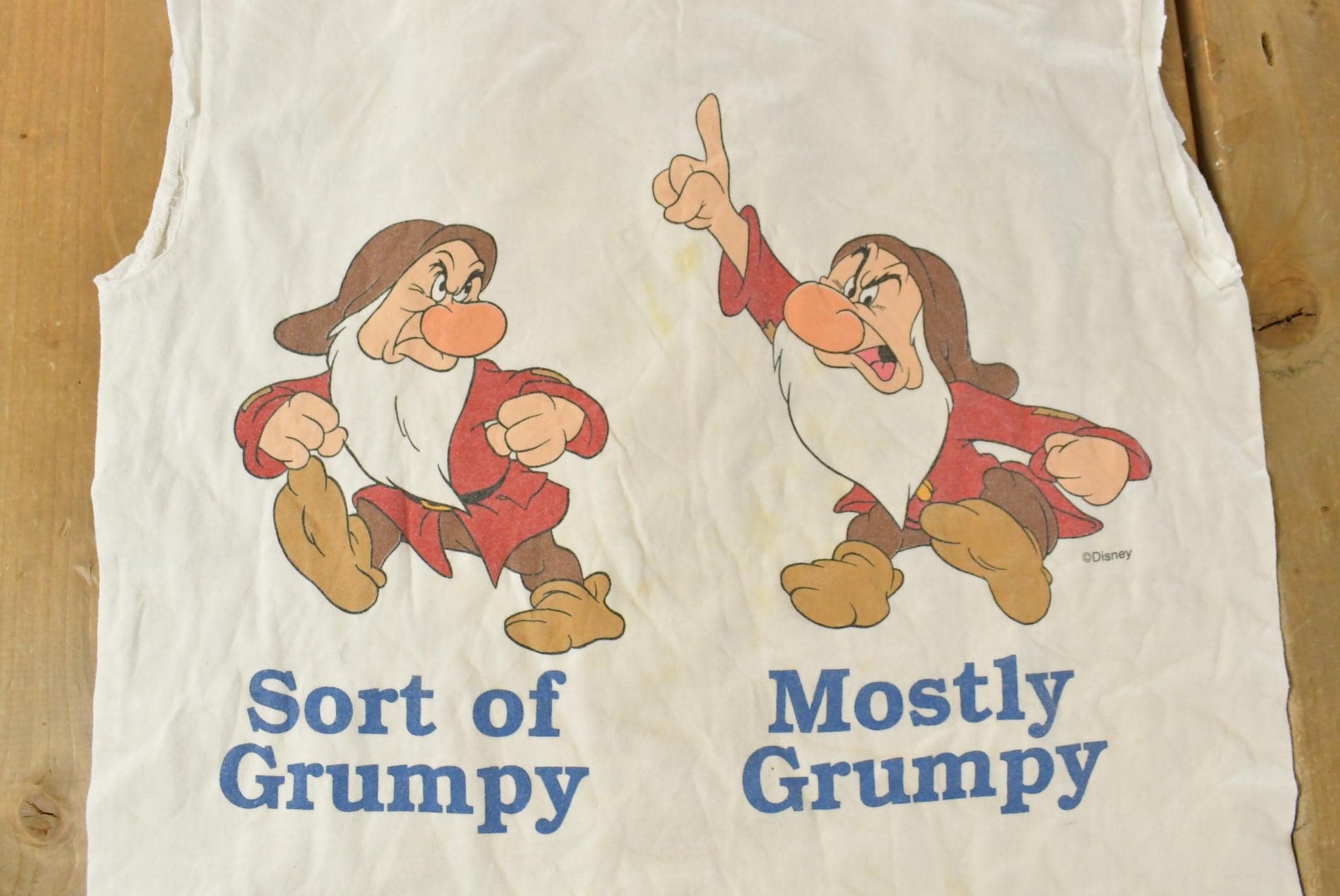 Vintage 1990s Disney Snow White Seven Dwarves Tank Top Men's Medium from propervintagecanada