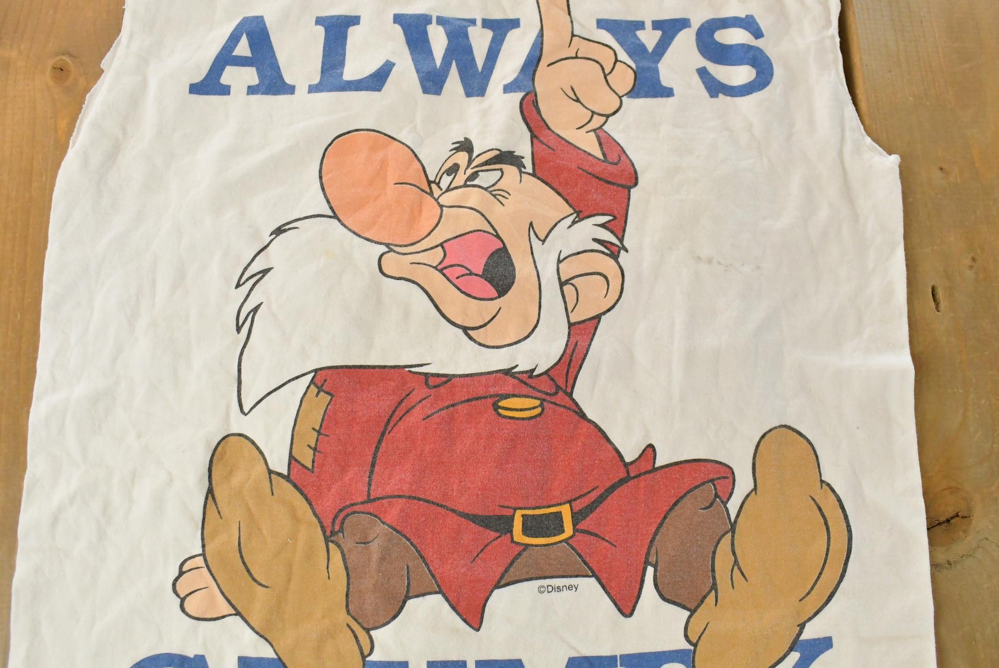 Vintage 1990s Disney Snow White Seven Dwarves Tank Top Men's Medium / 90s Cartoon Promo / Always Grumpy from propervintagecanada