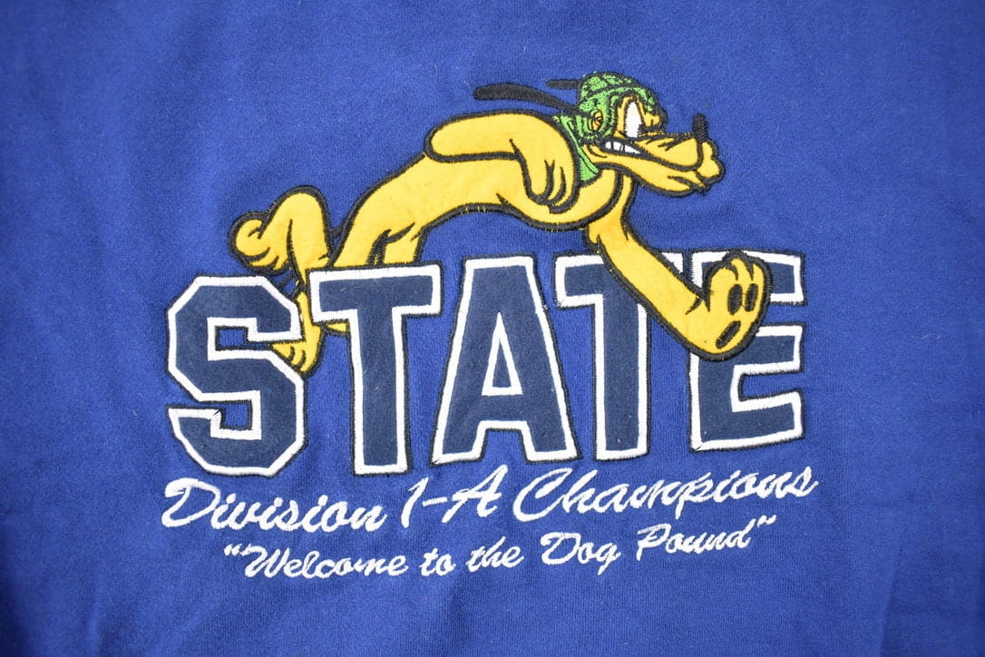 Vintage 1990s Disney State Division Champions Collegiate Crewneck Men's Medium from propervintagecanada
