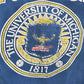 Vintage 1990s Distressed University Of Michigan Wolverines Collegiate Crewneck Sweatshirt Men's Large from propervintagecanada